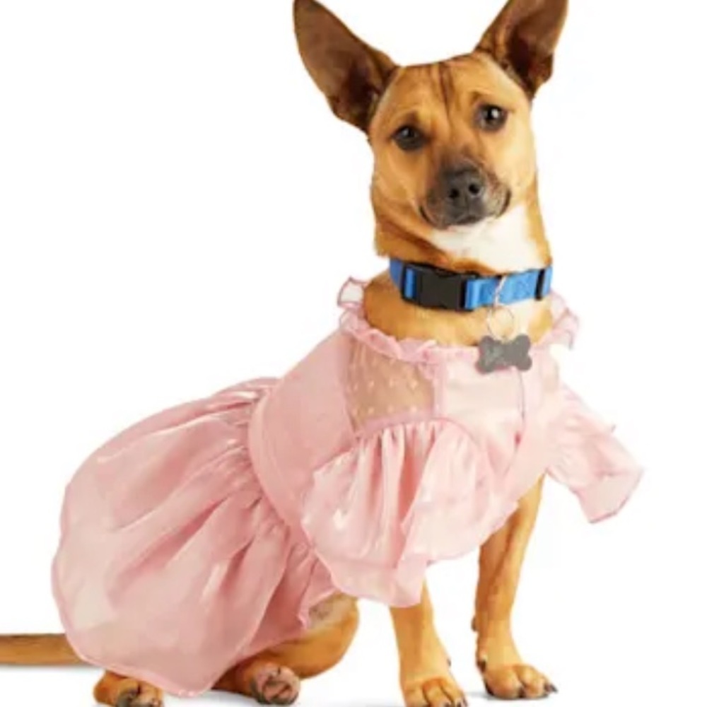 NWT Youly ruffle ‘the Charmer’ dog dress S